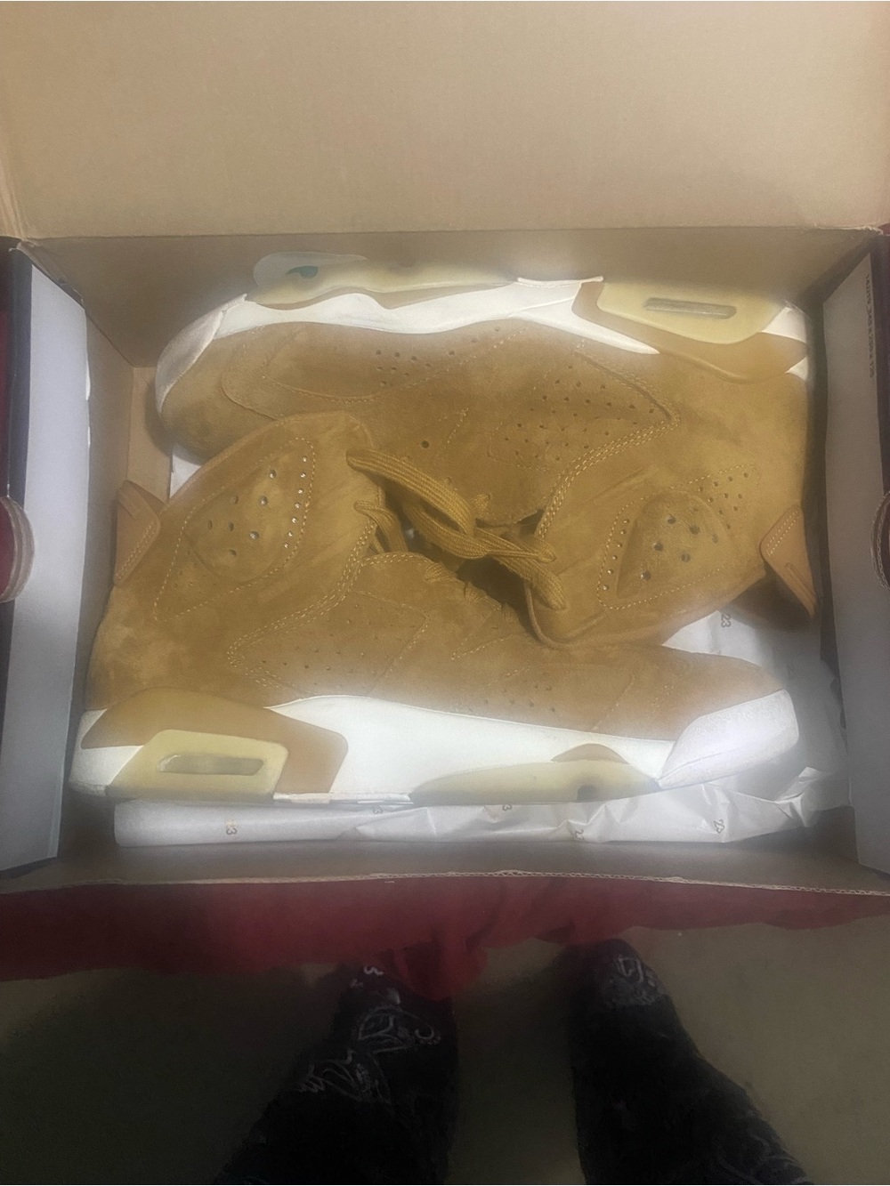 Jordan 6 retro wheat